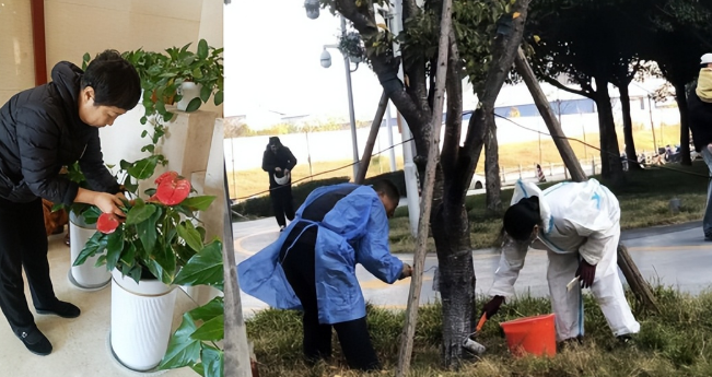 “启新篇，焕新颜”——索克商办事业部开展年终大清洁行动